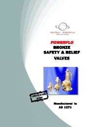 powerflo bronze safety & relief valves - Powerflo Solutions