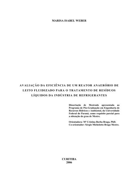 AvaliaÃ§Ã£o da EficiÃªncia de um Reator AnaerÃ³bio de Leito Fluidizado ...