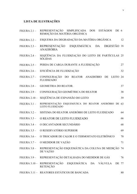 AvaliaÃ§Ã£o da EficiÃªncia de um Reator AnaerÃ³bio de Leito Fluidizado ...