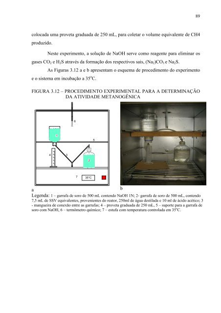 AvaliaÃ§Ã£o da EficiÃªncia de um Reator AnaerÃ³bio de Leito Fluidizado ...