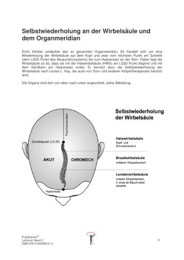 Auszug Band 2 - PraNeoHom