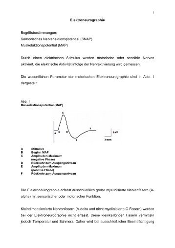 Elektroneurographie Begriffsbestimmungen: Sensorisches ...