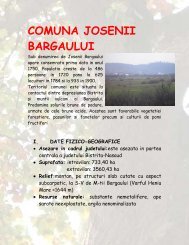 COMUNA JOSENII BARGAULUI