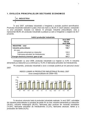 Raport_privind_stare.. - Prefectura JudeÅ£ului CÄlÄraÅi