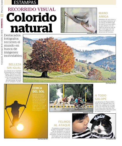 PDF 28102012 - Prensa Libre