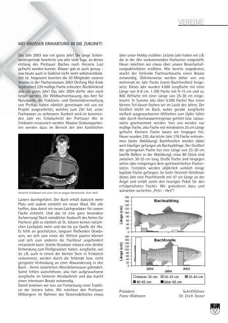 Tauernfenster 2003