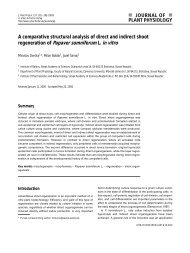 A comparative structural analysis of direct and indirect shoot ...