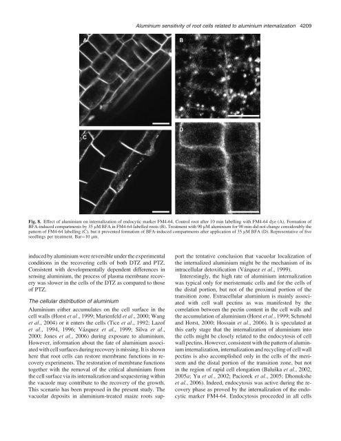 A comparative structural analysis of direct and indirect shoot ...