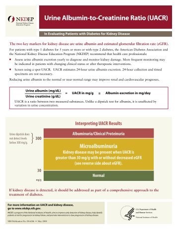 Urine Albumin-to-Creatinine Ratio (UACR) - HealthInsight