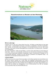 Reiseinformationen zu Wandern auf dem Rheinsteig