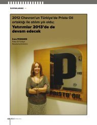 YatÄ±rÄ±mlar 2013'de de devam edecek - Prista Oil