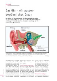 Das Ohr â ein ausser- gewÃ¶hnliches Organ - Pro Audito Schweiz