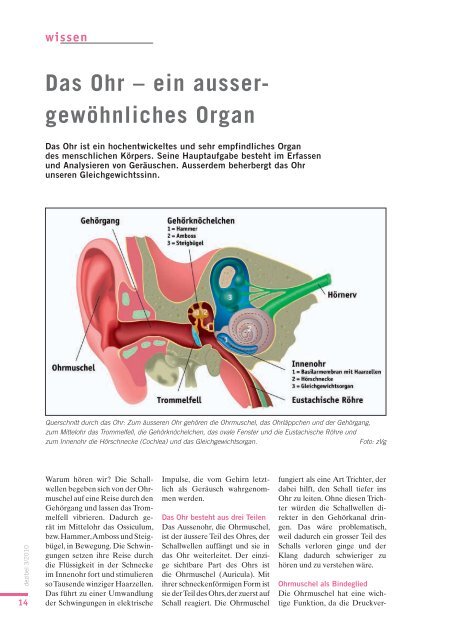 Das Ohr â€“ ein ausser- gewÃ¶hnliches Organ - Pro Audito Schweiz