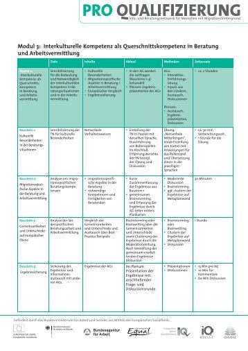 Modul 3: Interkulturelle Kompetenz als ... - Pro Qualifizierung