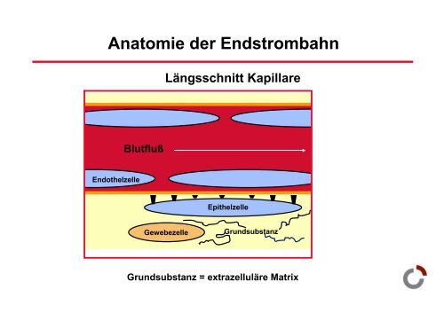 Lebensstil