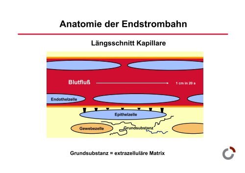 EiweiÃspeicher - Prof-wendt.de