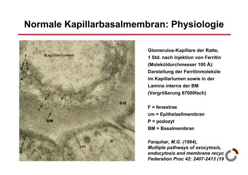 EiweiÃspeicher - Prof-wendt.de