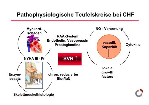 Herzinsuffizienz - Prof-wendt.de