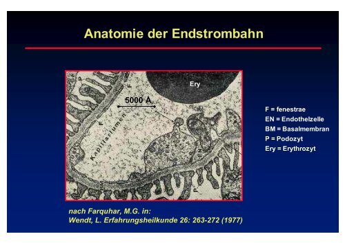 Felsberg - Prof-wendt.de