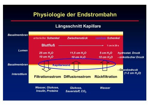 Felsberg - Prof-wendt.de