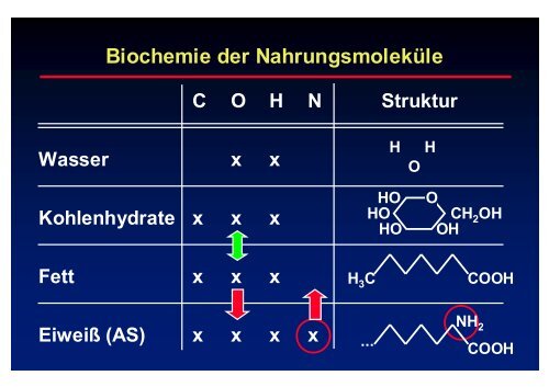 Felsberg - Prof-wendt.de