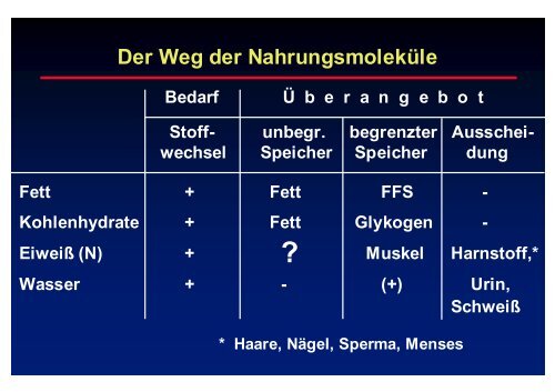 Felsberg - Prof-wendt.de