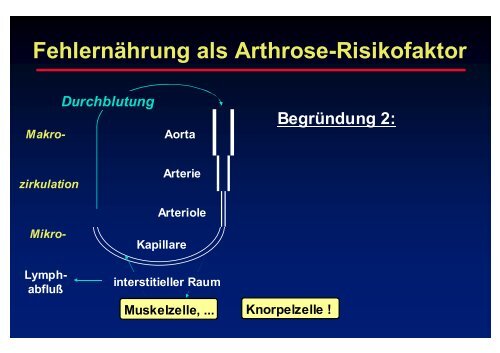 Felsberg - Prof-wendt.de