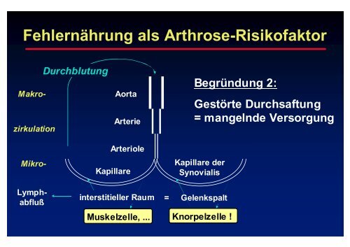 Felsberg - Prof-wendt.de