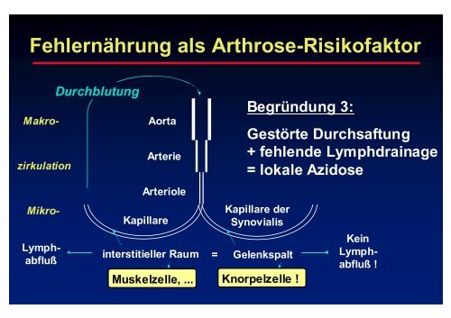 Felsberg - Prof-wendt.de