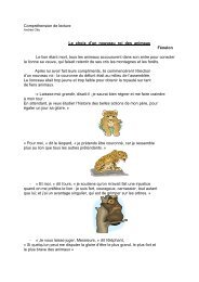 Fiche 13 Le choix d'un nouveau roi des animaux - Professeur Phifix