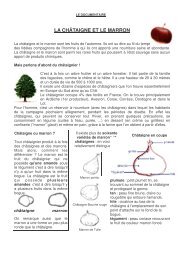 Fiche 45 le documentaire + questionnaire - Professeur Phifix