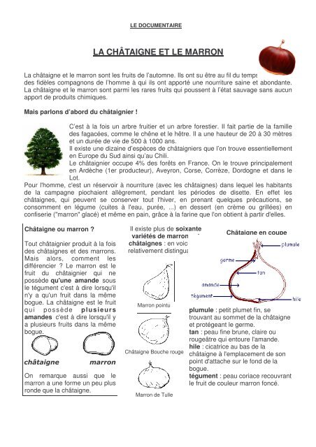 Fiche 45 Le Documentaire Questionnaire Professeur Phifix Fiche 45 Le Documentaire Questionnaire Professeur Phifix
