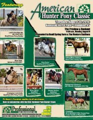 Download the Sale Catalog of Ponies - Professional Auction ...