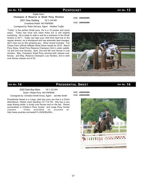 Download the Sale Catalog of Ponies - Professional Auction ...