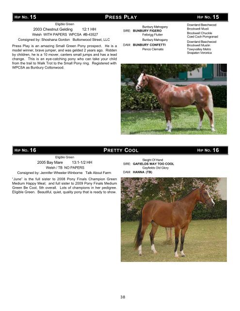 Download the Sale Catalog of Ponies - Professional Auction ...