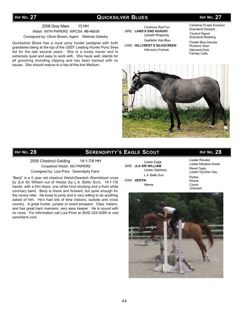 Download the Sale Catalog of Ponies - Professional Auction ...