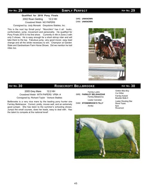 Download the Sale Catalog of Ponies - Professional Auction ...