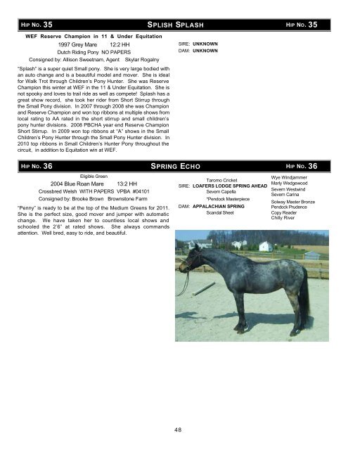 Download the Sale Catalog of Ponies - Professional Auction ...