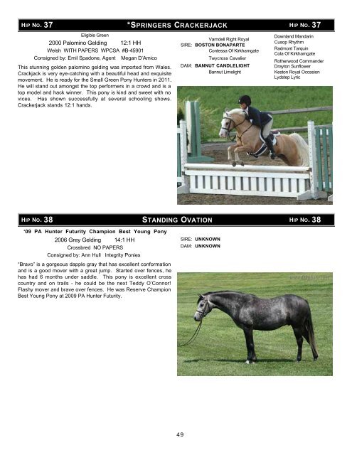 Download the Sale Catalog of Ponies - Professional Auction ...