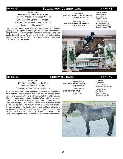 Download the Sale Catalog of Ponies - Professional Auction ...