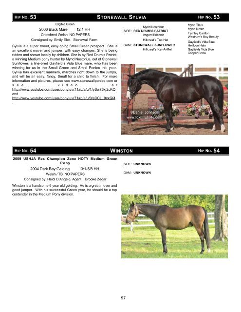 Download the Sale Catalog of Ponies - Professional Auction ...