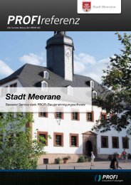 Stadt Meerane - PROFI Engineering Systems AG