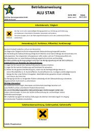 Alu Star BA.xlsx - Profi-Star Wartungsprodukte GmbH