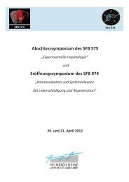 Programm Symposium SFB 20.+21... - Profil-research.de