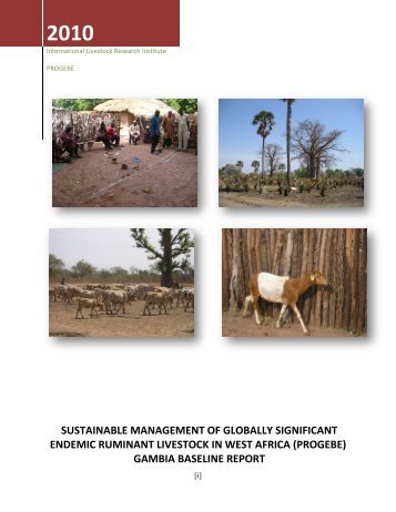Gambia Country Baseline Report -with Appendix.pdf - PROGEBE