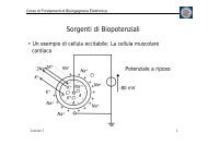 La Membrana Eccitabile E Basi Neurofisiologiche - Progettoatena.It