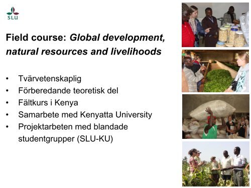 Exempel Sveriges lantbruksuniversitet workshop 7 (pdf)