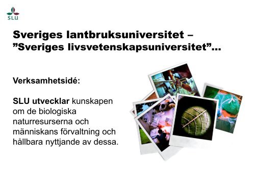 Exempel Sveriges lantbruksuniversitet workshop 7 (pdf)