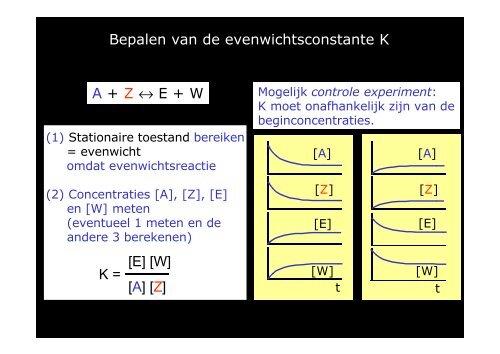 Z - Universiteit Utrecht