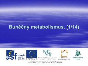 BunÄÄnÃ½ metabolismus. (1/14) - Projekt EU